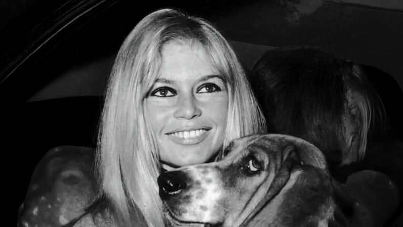Brigitte Bardot. Photo: Getty