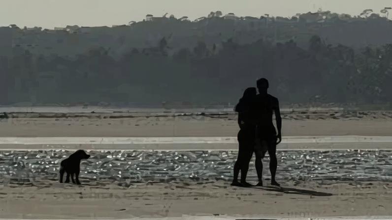 Shawn Mendes e Bruna Marquezine trocam um beijo no mar de Alagoas — Foto: Reprodução X