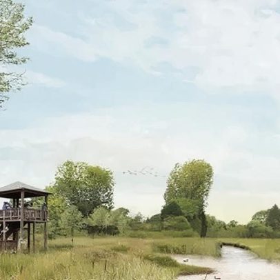 Planos para nova reserva natural serão analisados