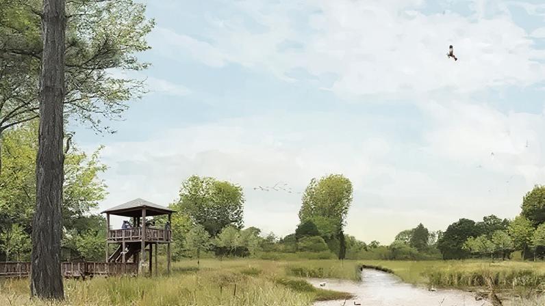 Planos para nova reserva natural serão analisados