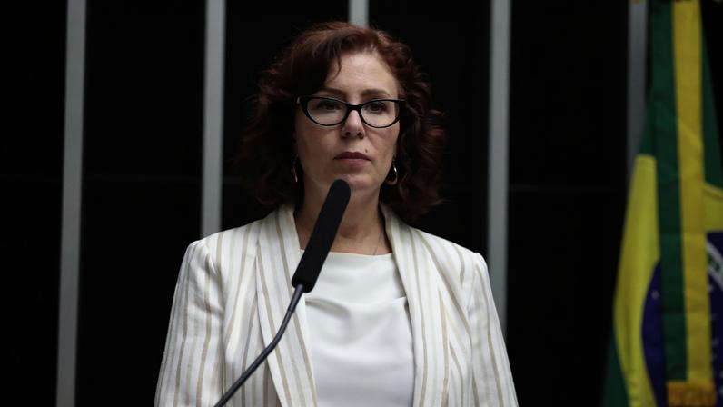 Sem votos suficientes, a Câmara dos Deputados rejeitou a cassação do mandato parlamentar de Carla Zambelli (PL-SP). (Foto: Zeca Ribeiro/Câmara dos Deputados)