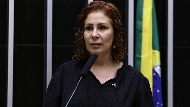 Decisão que anulou rejeição de cassação pela Câmara está em análise da Primeira Turma do STF. (Foto: Vinícius Loures/Câmara dos Deputados)