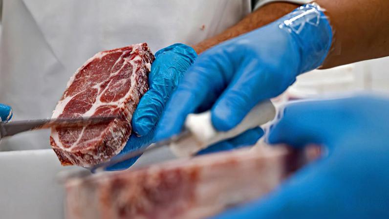 Mais 38 frigoríficos brasileiros já podem exportar carnes à China. Foto: Mapa/iStock