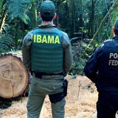 Vídeo não mostra Ibama expulsando famílias para venda de terra à China