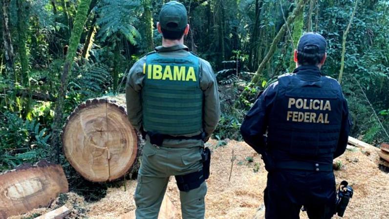 1 de 2 Cenas retratadas em vídeo não mostram expulsão pelo Ibama — Foto: g1