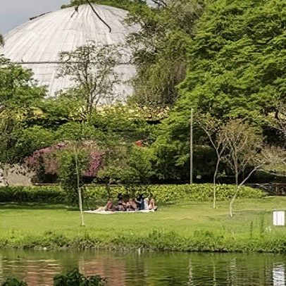 Patins e skate ganham espaço na marquise do Parque Ibirapuera