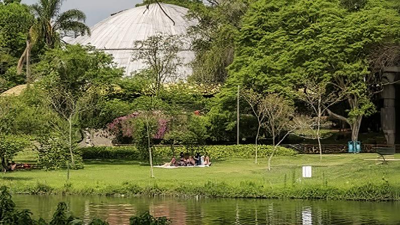 Patins e skate ganham espaço na marquise do Parque Ibirapuera