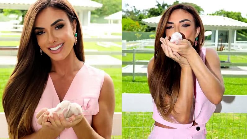 Nicole Bahls comemora nascimento de coelhinhos ‘filhos’ de Wanessa e Allan Souza Lima — Foto: Reprodução/ Instagram