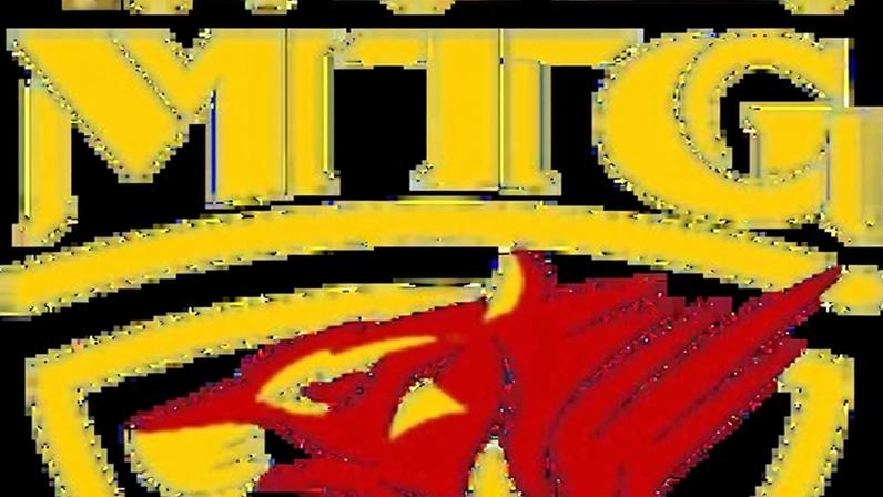 Mighty Tiger Gaming vs WST: estatísticas e resultado de 31/01/2026