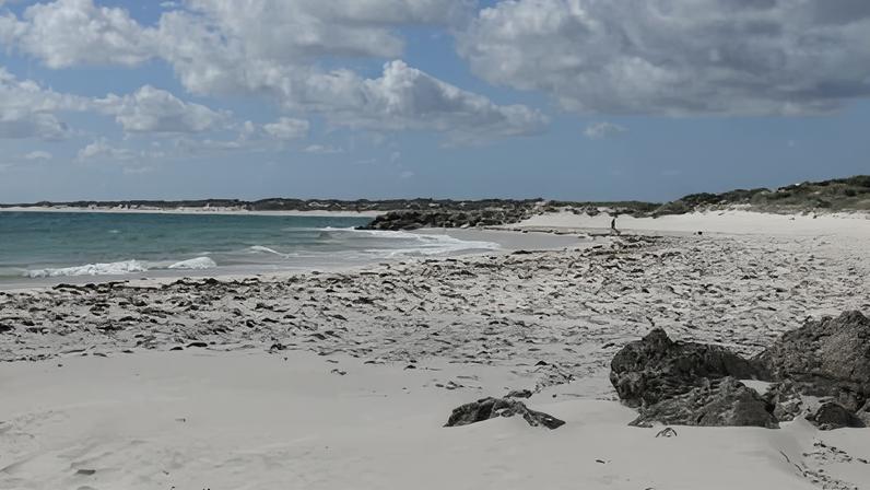 A snorkeller was reported missing at Ledge Point Beach, north of Perth, Western Australia.