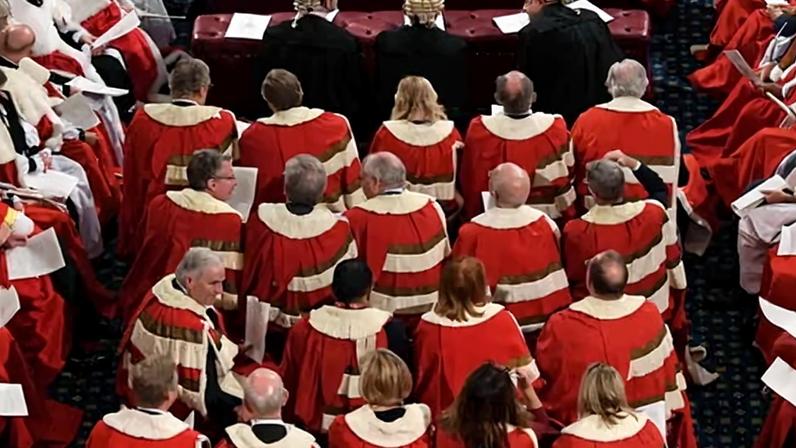 Labour peers say the House of Lords has slowed down virtually every bill, including key manifesto pledges.