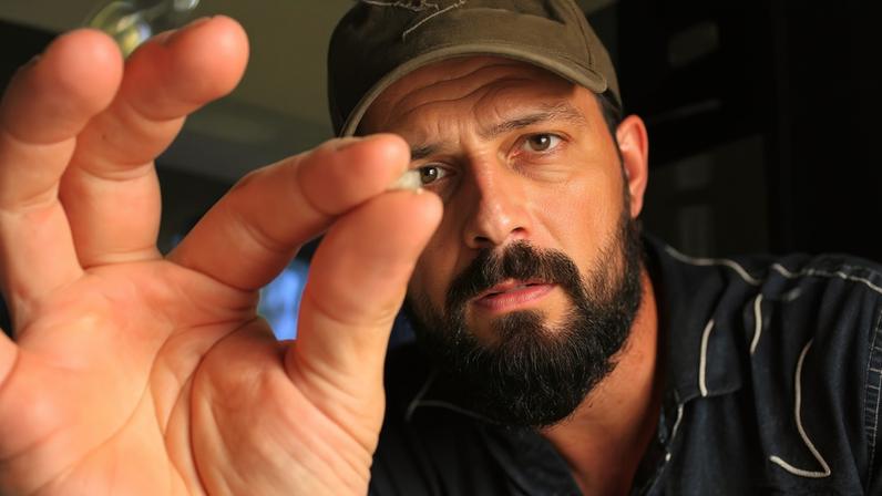 Crânio fóssil minúsculo revela novo réptil do sul do Brasil há 240 milhões de anos