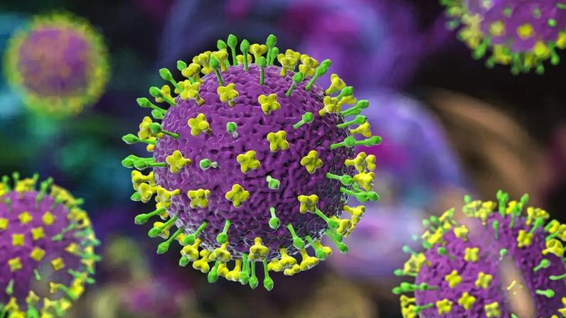 Ilustração do Nipah virus particles.