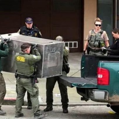 Puma é visto nas ruas de San Francisco próximo a parque, dizem autoridades