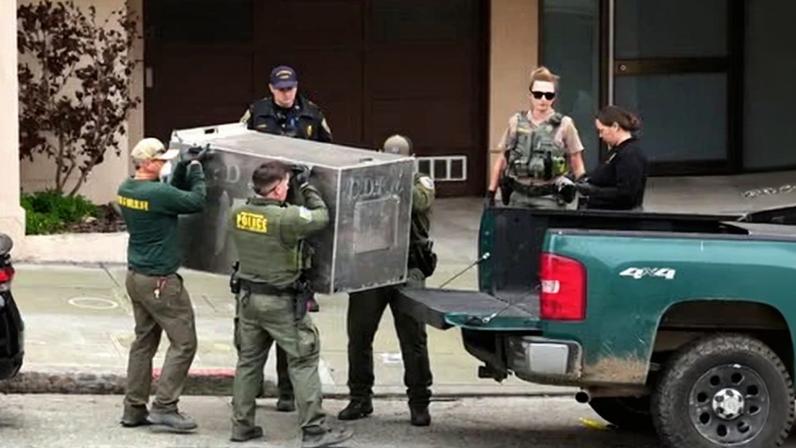 Puma é visto nas ruas de San Francisco próximo a parque, dizem autoridades