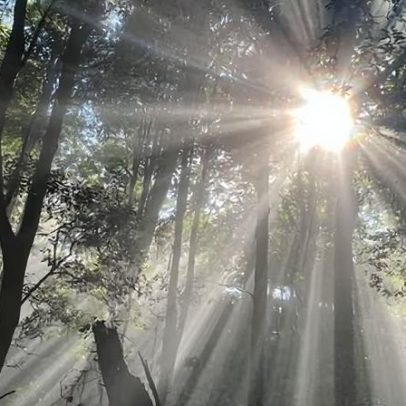 Corpo de adolescente é encontrado em córrego após camping nas Blue Mountains