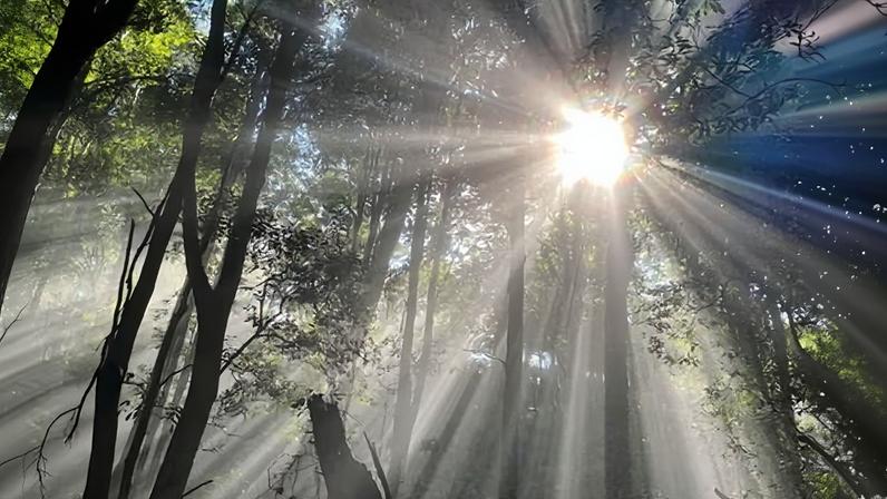 Corpo de adolescente é encontrado em córrego após camping nas Blue Mountains