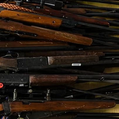 Albanese pressiona estados sobre compra de armas, oposição de Queensland e NT