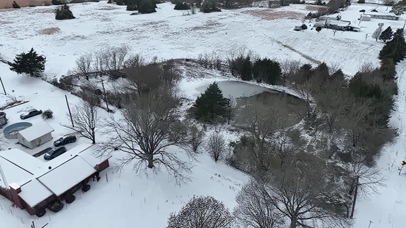 The children had been playing near this pond when the accident happened