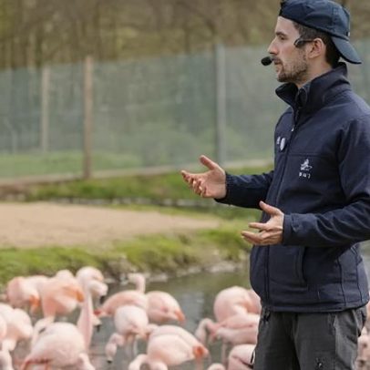 Oásis urbano entre vias A