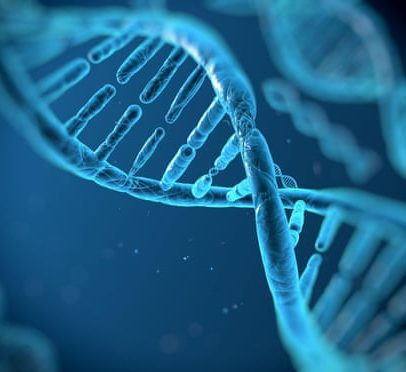 Segredo da longevidade pode estar nos genes, dizem cientistas