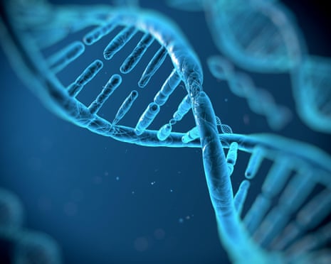 Prof Uri Alon said he hoped the study would inspire further investigation into the genes that affect lifespan.