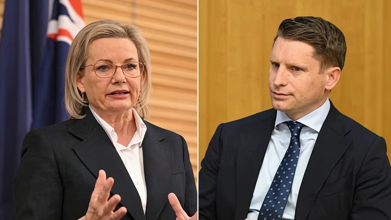 Andrew Hastie officially abandoned plans to challenge Sussan Ley for the Liberal leadership on Friday.