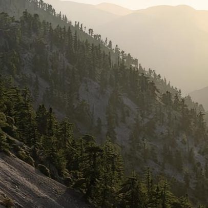 Estudante universitário de 1º ano é uma das três vítimas em Monte Baldy