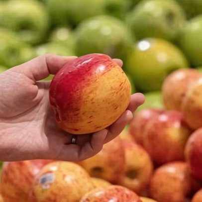 Estudo aponta coquetéis de pesticidas que contaminam maçãs na Europa