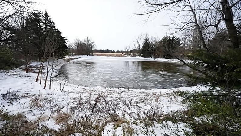 A pond where neighbors say three young boys died after falling into the water on 27 January 2026, in Bonham, Texas.