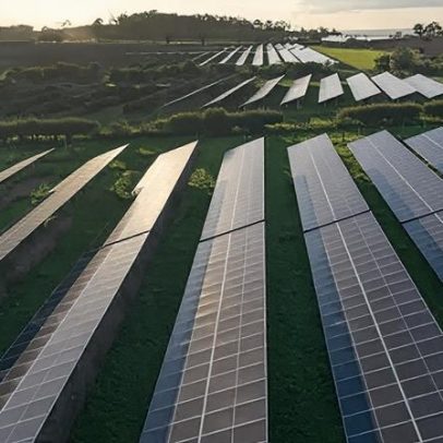 Grã-Bretanha registra ano recorde de energia eólica e solar em 2025