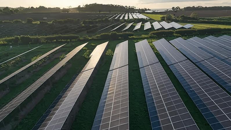 Grã-Bretanha registra ano recorde de energia eólica e solar em 2025