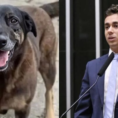 Nikolas Ferreira defende redução da maioridade penal após caso com cão morto
