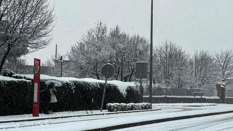 People wait for a bus in the snow as storm Kristin hits several parts of Spain and Portugal, in Galapagar, on the outskirts of Madrid, Spain, January 28, 2026. REUTERS/Silvio Castellanos