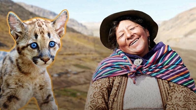 Collage featuring a puma and Ida Isabel Auris Arango, shepherd and Quechua woman