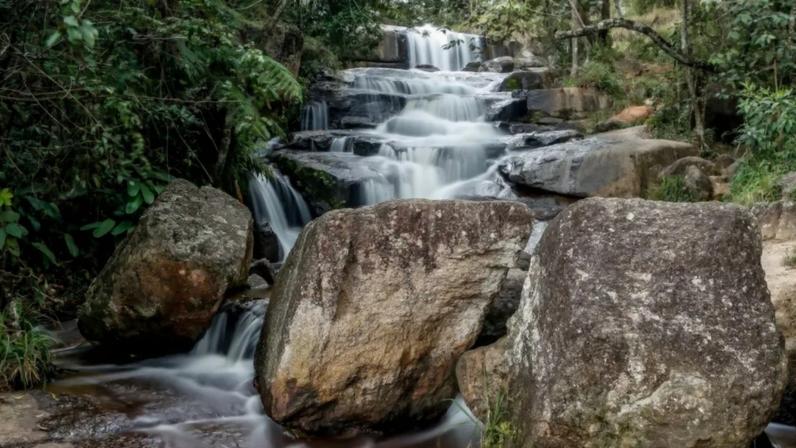 Parque Estadual de Itapetinga, no Estado de São Paulo