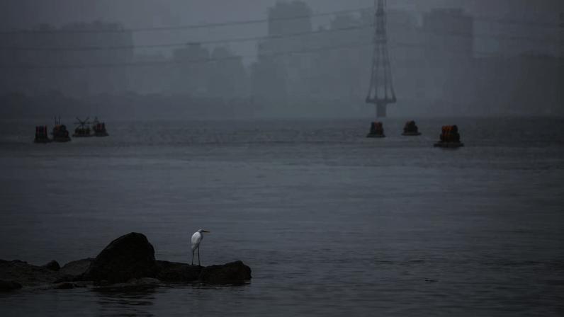 A bird stands on a rock on Tamsui River, with explosive barrels placed by Taiwan military visible in the background, which are part of a series of emergency combat readiness drills, in response to China conducting "Justice Mission 2025" military drills around Taiwan, in Taipei, Taiwan, December 31, 2025. REUTERS/Ann Wang
