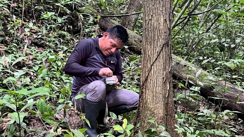 Pesquisador Asháninka Richar Demetrio, o primeiro publicado sobre abelhas