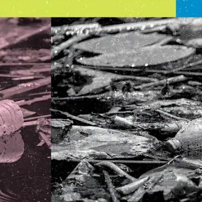 Metade dos ambientes aquáticos tem lixo