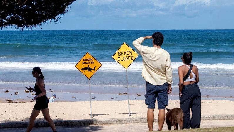Beaches are closed after recent shark attacks in Sydney