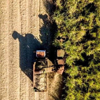 Raízen tem queda de 23% na moagem de cana no 3º trimestre