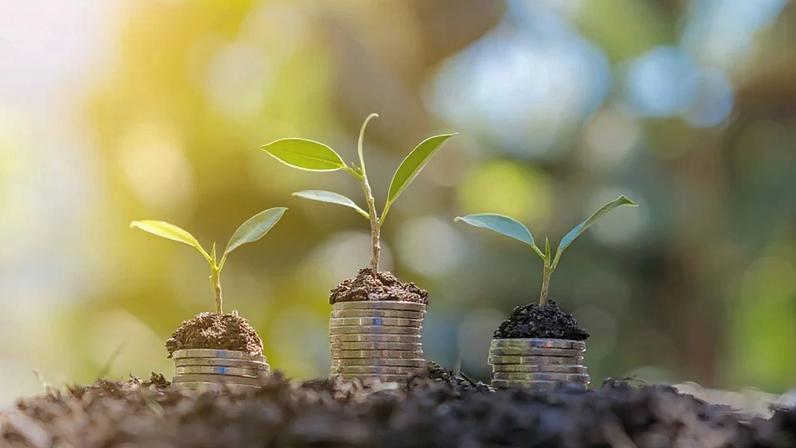 Eco Invest mobiliza R$ 53 bi em investimentos sustentáveis