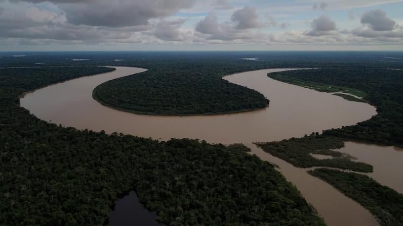 Amazon Rainforest