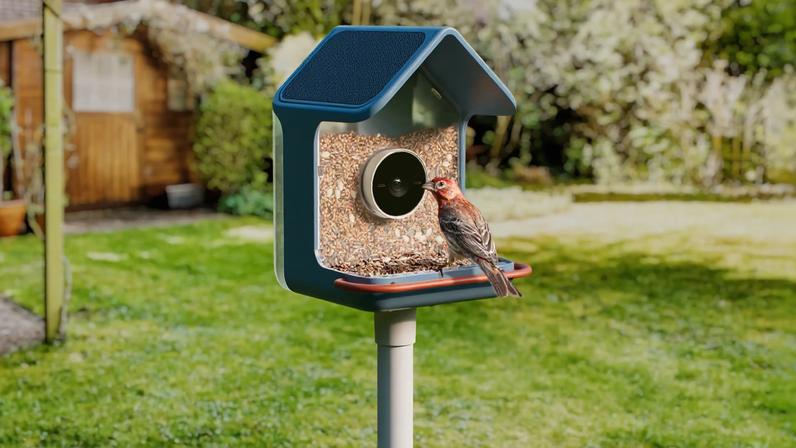 The Birdbuddy 2 goes for $199.