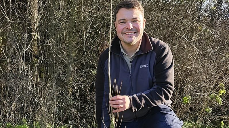 Jake Chandler propagated dozens of black poplar trees from cuttings