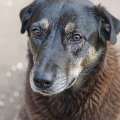 Polícia ouve adolescente e descarta desafio de redes sociais
