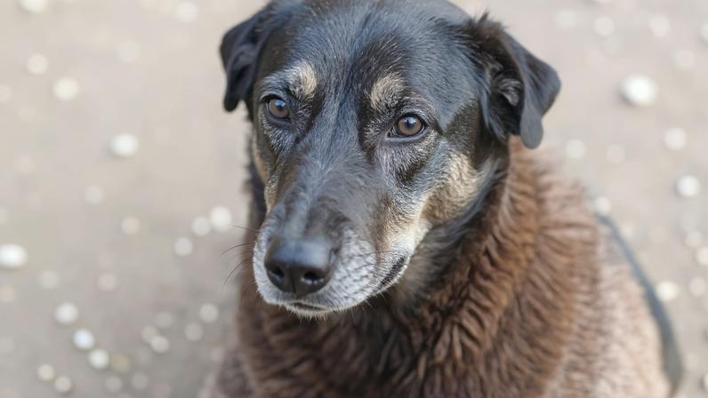 Polícia ouve adolescente e descarta desafio de redes sociais