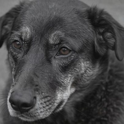 O que leva adolescentes a agirem com crueldade?