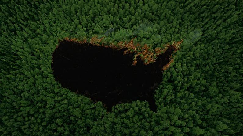 An illustration shows the brown burned outline of the United States amid a forest of bright green trees.