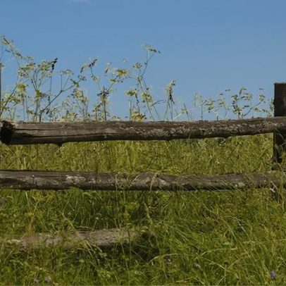 O que é a cerca de Chesterton e por que importa